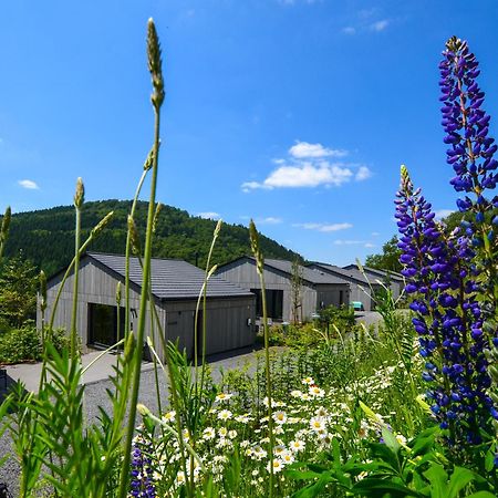 Sauerland Lodge - Haus Maxim Winterberg Dış mekan fotoğraf