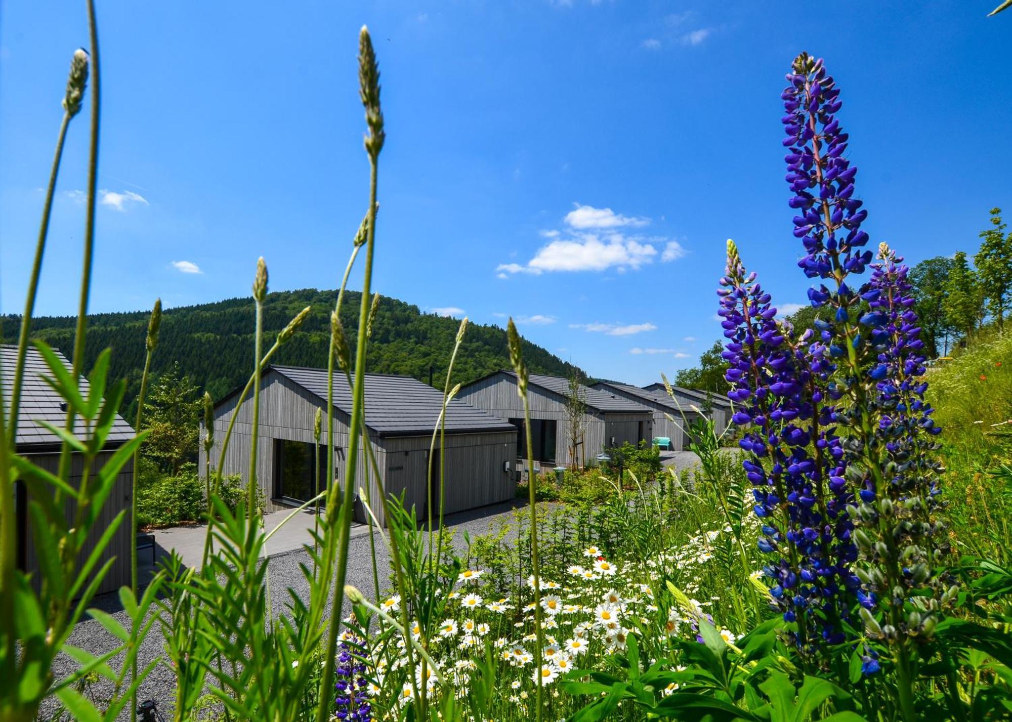Sauerland Lodge - Haus Maxim Winterberg Dış mekan fotoğraf